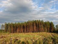 Богданівка з panoramio.com