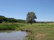 Стариця з panoramio.com