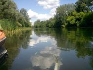 Синичине з panoramio.com