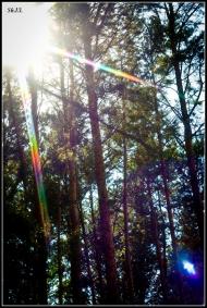 Мала Любаша з panoramio.com