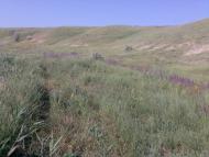 Долинське з panoramio.com