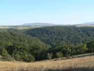 Овражки з panoramio.com