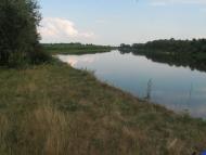 Куковичі з panoramio.com