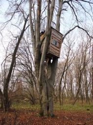 Гнатівка з panoramio.com