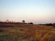 Їжицьке з panoramio.com