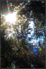 Мала Любаша з panoramio.com