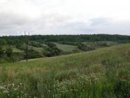 Балабине з panoramio.com