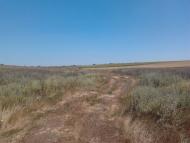 Васинівка з panoramio.com