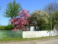 Острів з panoramio.com