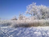 Ганнівка з panoramio.com