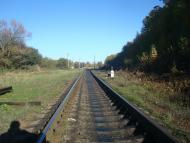 Щиборівка з panoramio.com