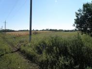 Орлівське з panoramio.com