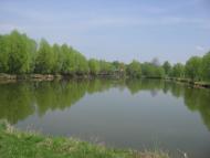 Tynytsya - Latest photos