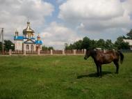 Довгалівка з panoramio.com