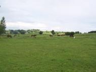 Хорів з panoramio.com