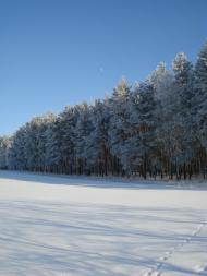 Філатове з panoramio.com