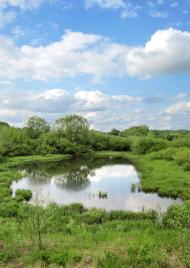 Немильня з panoramio.com