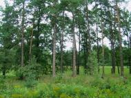 Свеса з panoramio.com