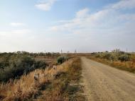 Їжицьке з panoramio.com