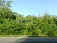 Терпіння з panoramio.com