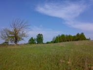 Дударі з panoramio.com