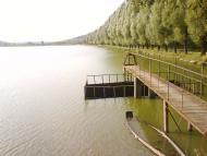 Ясенівка з panoramio.com