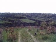 Балабине з panoramio.com