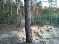 Соснівка з panoramio.com