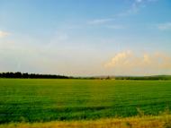 Мурзинці з panoramio.com