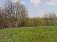 Нова Мощаниця з panoramio.com