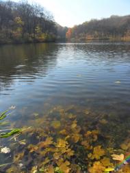 Карло-Марксове з panoramio.com