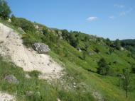 Гамарня з panoramio.com