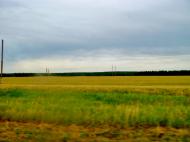 Хлипнівка з panoramio.com