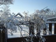 Коробчино з panoramio.com