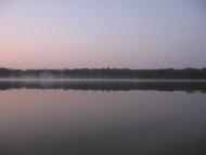 Віл - Останні фото