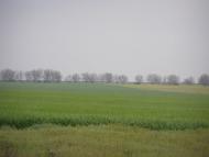 Кубряки - Останні фото