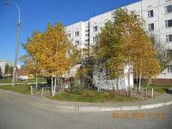 Полянь з panoramio.com