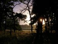 Скалонівка з panoramio.com