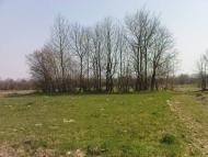 Нова Мощаниця з panoramio.com