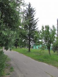 Ямельня з panoramio.com