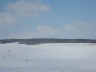 Вигівка з panoramio.com