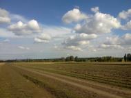 Павлівка з panoramio.com