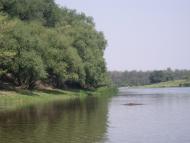 Бузьке з panoramio.com