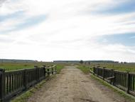 Горошине з panoramio.com