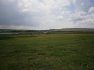 Зеленівка з panoramio.com