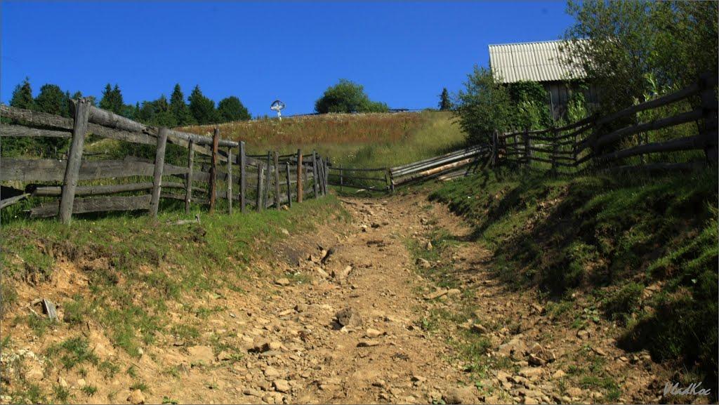 Береги з panoramio.com - Береги