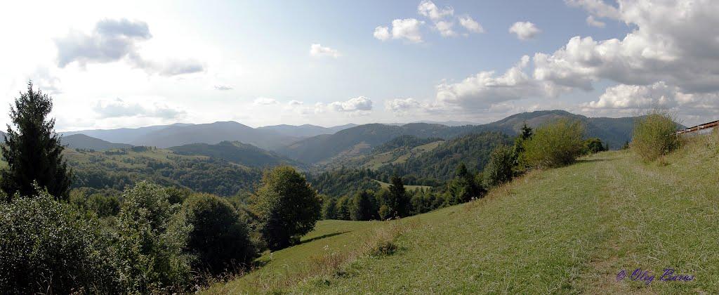 Стригальня з panoramio.com - Стригальня