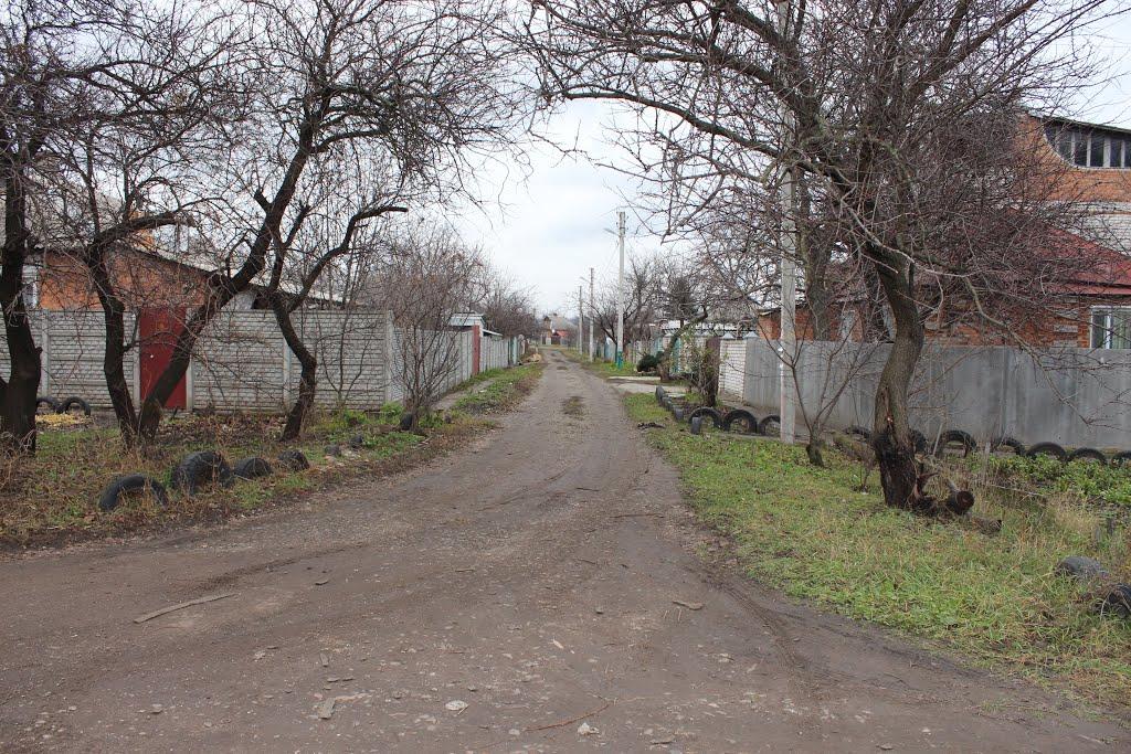Логачівка з panoramio.com - Logachivka