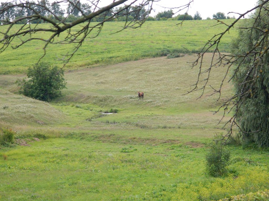 Черемошне з panoramio.com - Cheremoshne