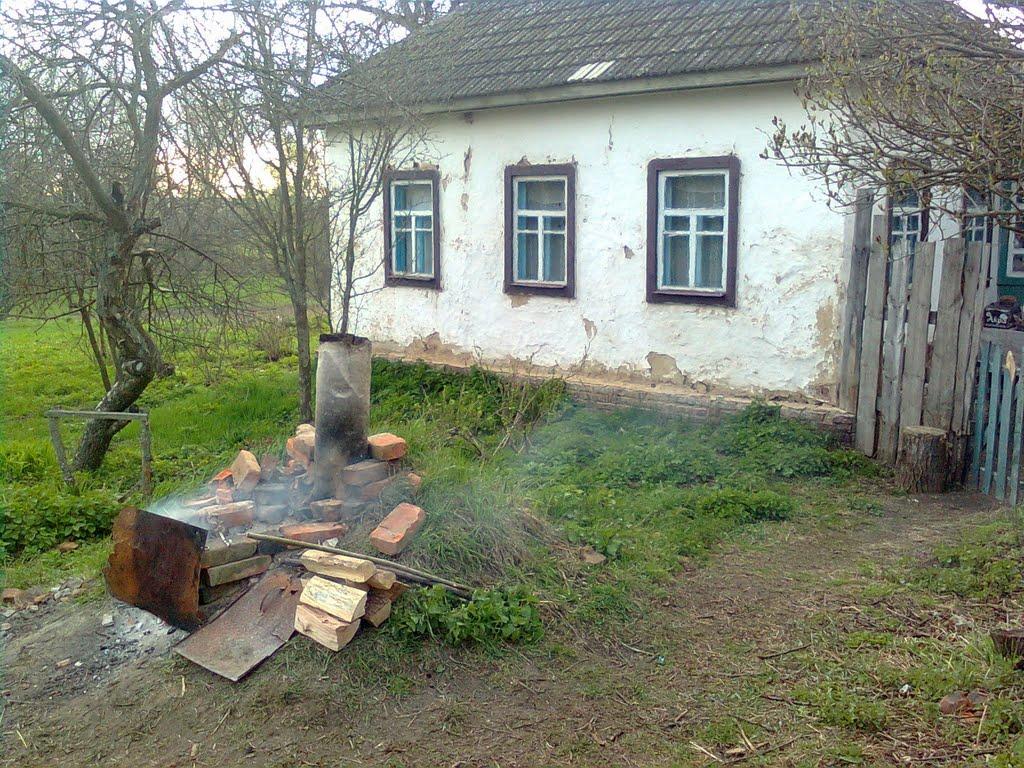 Полова з panoramio.com - Полова